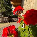 Krolewna Sniezka 公寓 *