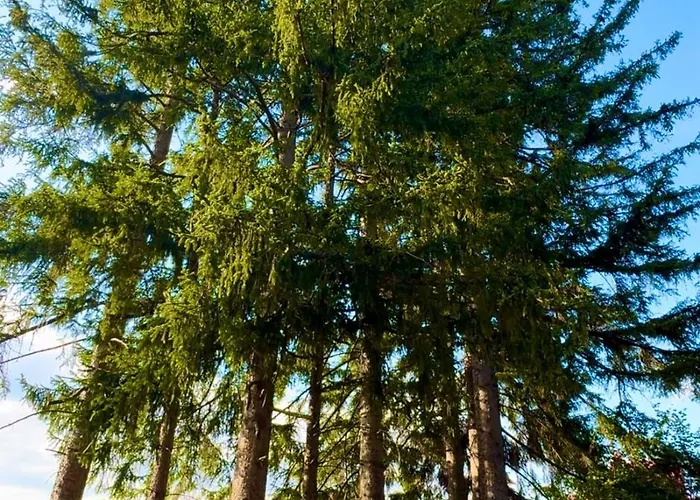 Lägenhet Krolewna Sniezka