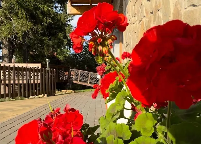 Krolewna Sniezka Lägenhet *