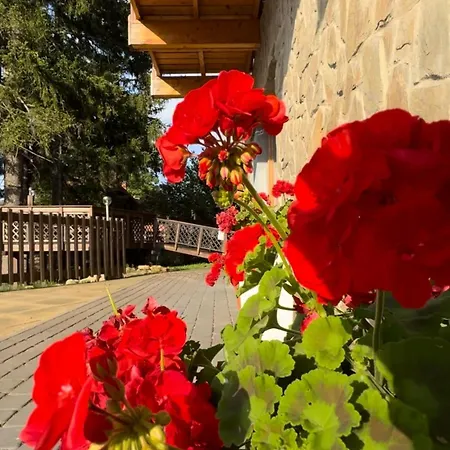 Królewna śnieżka Apartament *